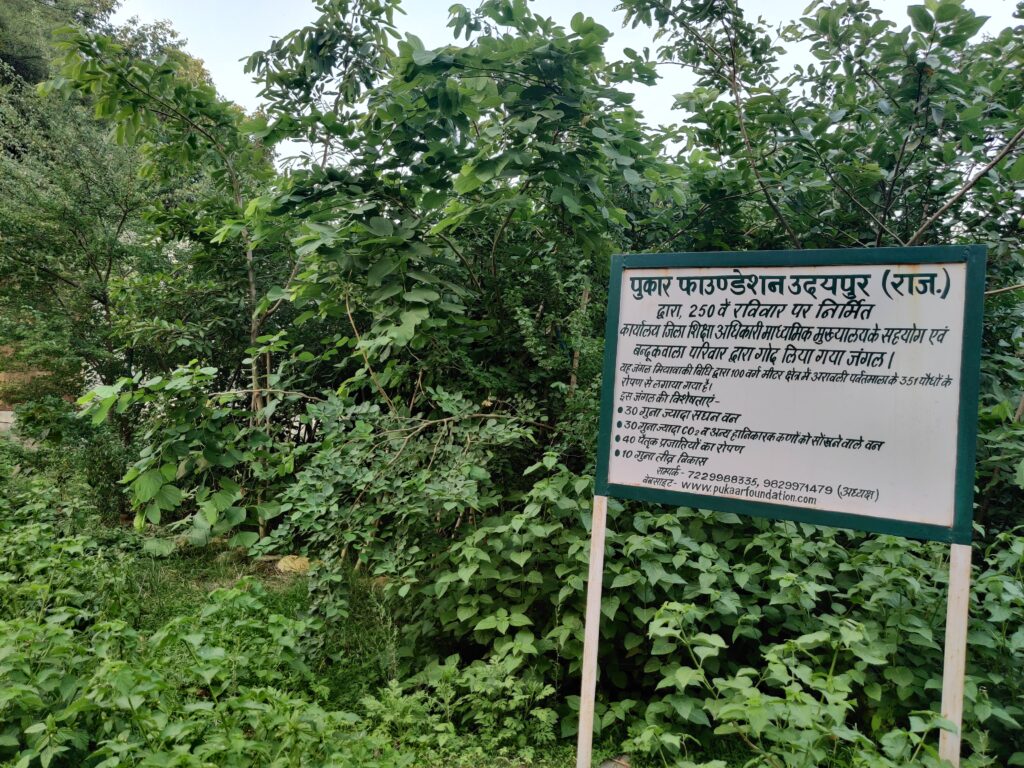 Miyawaki Forest In Udaipur, Rajasthan | Plantation services in Rajasthan