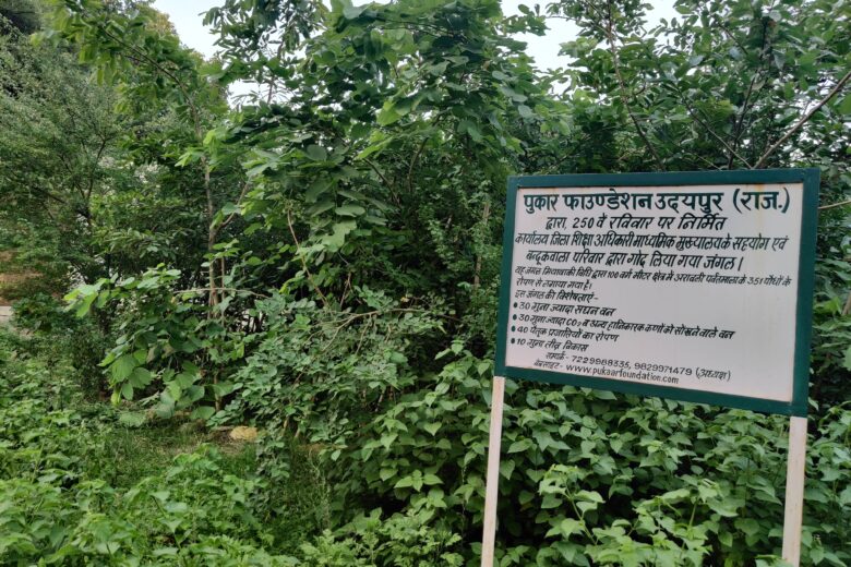 Miyawaki Forest In Udaipur, Rajasthan | Plantation services in Rajasthan