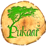 Plantation and Permaculture service in Udaipur | Pukaar