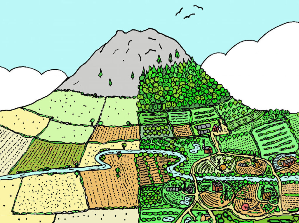 permaculture in Udaipur, Rajasthan, India | Consultant | Design | Farming