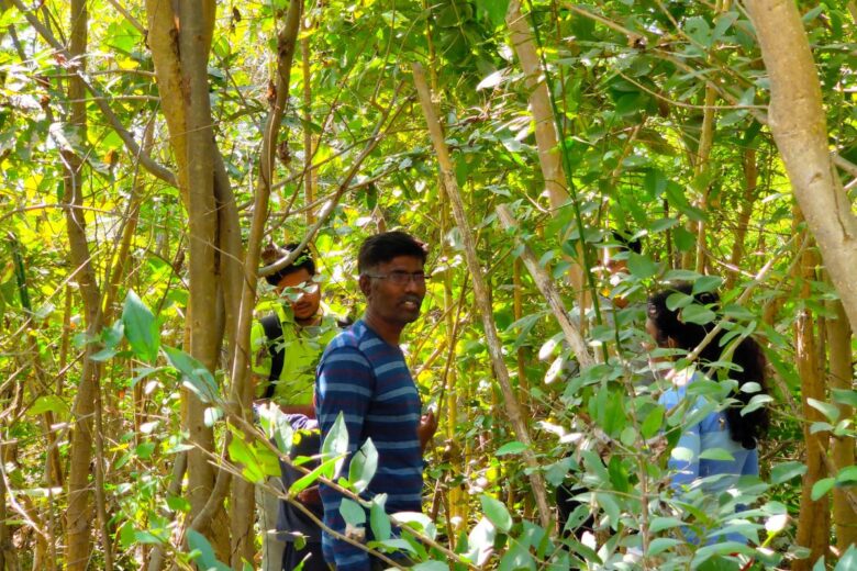 Miyawaki Forest in Udaipur, rajasthan fast growth plantation