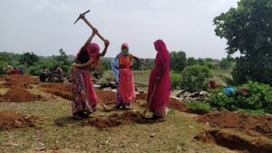 Miyawaki forest in udaipur, Rajasthan | Pukaar ngo | PLnatation