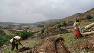 Miyawaki forest plants in udaipur, Rajasthan | Pukaar ngo | Plantation