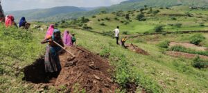 Miyawaki forest in udaipur, Rajasthan | Pukaar ngo | Plantation