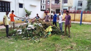 Miyawaki forest plants in udaipur, Rajasthan | Pukaar ngo | Plantation