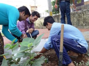 Miyawaki forest in udaipur, Rajasthan | Pukaar ngo | Plantation