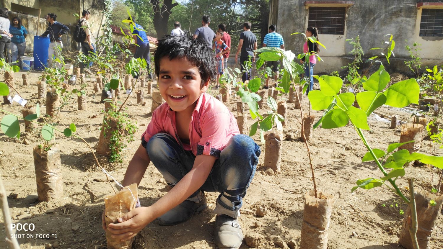 Miyawaki forest in udaipur, Rajasthan | Pukaar ngo | Plantation