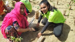 Miyawaki forest in udaipur, Rajasthan | Pukaar ngo | Plantation