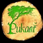 Pukaar